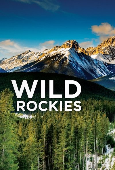 Póster de Wild Rockies