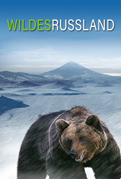 Póster de Wild Russia