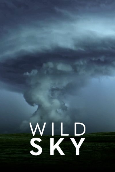 Póster de Wild Sky