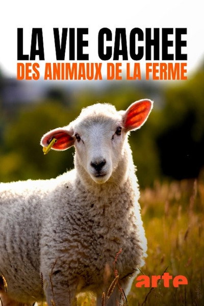 Póster de Wild Tales from the Farm