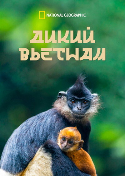 Póster de Wild Vietnam