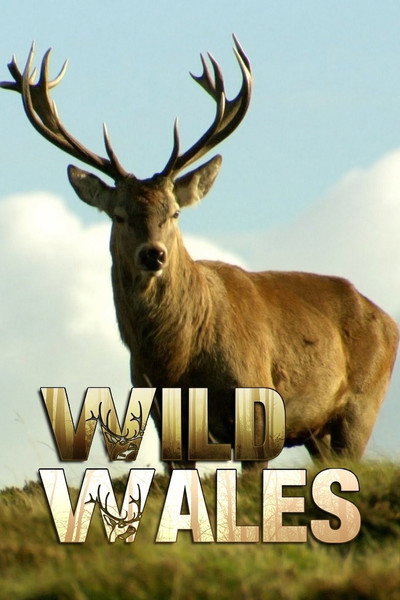 Póster de Wild Wales