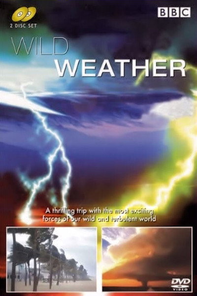 Póster de Wild Weather