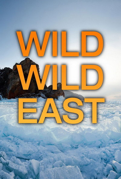 Póster de Wild Wild East