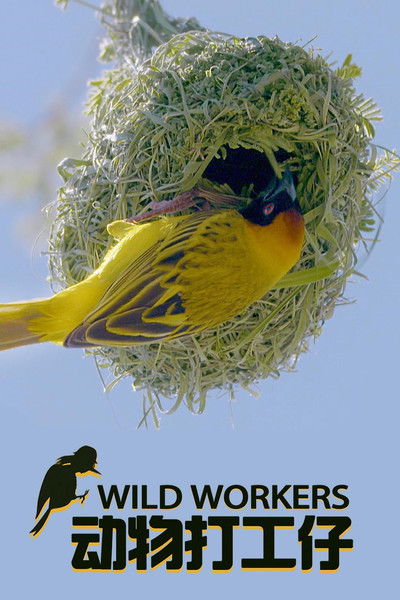 Póster de Wild Workers