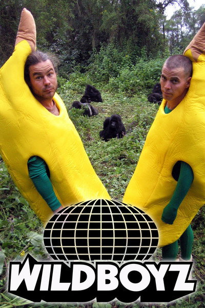 Póster de Wildboyz