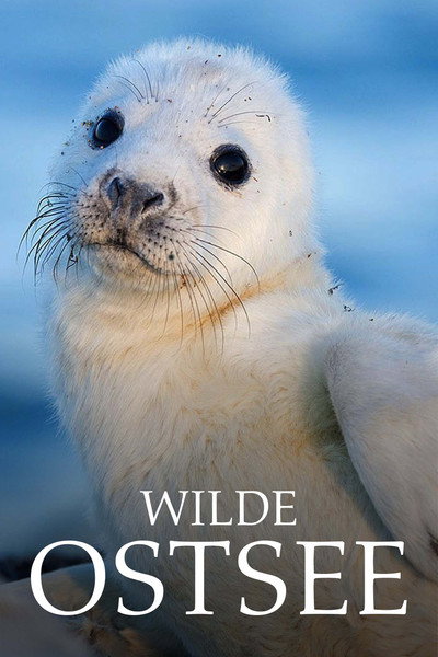 Póster de Wilde Ostsee