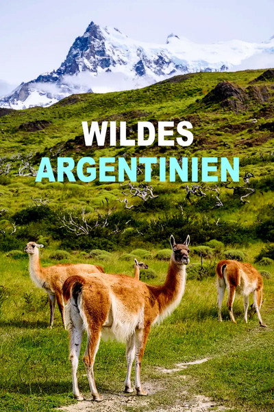 Póster de Wildes Argentinien