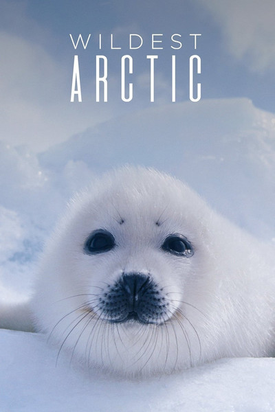 Póster de Wildest Arctic