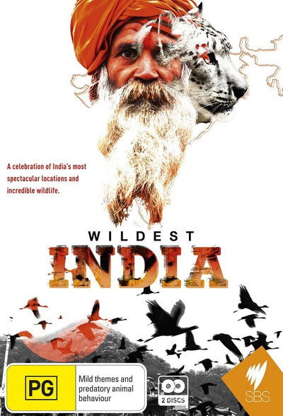 Póster de Wildest India