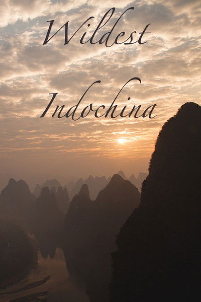 Póster de Wildest Indochina