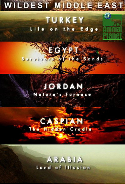 Póster de Wildest Middle East