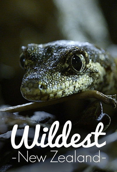 Póster de Wildest New Zealand