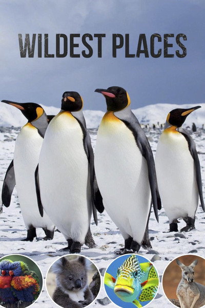 Póster de Wildest Places