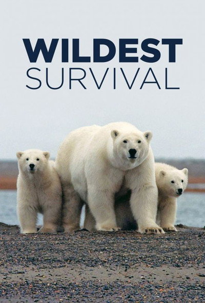 Póster de Wildest Survival
