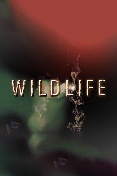 Póster de Wildlife