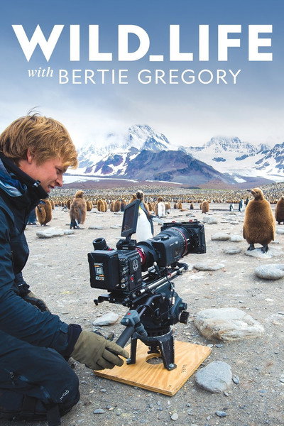 Póster de Wild_Life