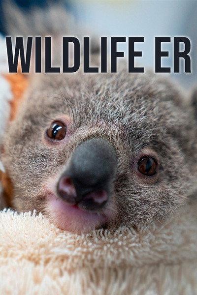 Póster de Wildlife ER