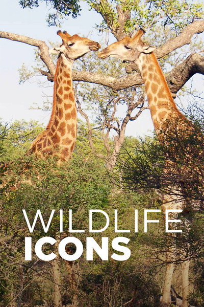 Póster de Wildlife Icons