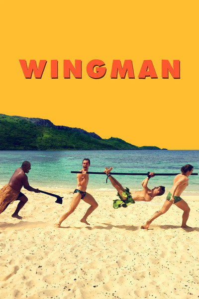 Póster de Wingman