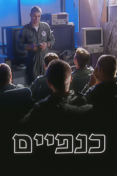 Póster de Wings