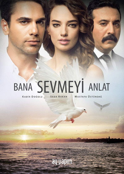 Póster de Wings of Love