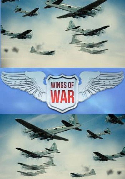 Póster de Wings of War