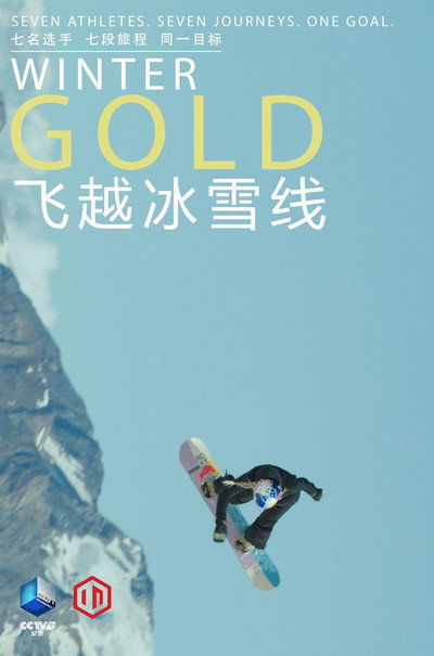 Póster de Winter Gold