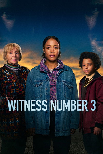 Póster de Witness Number 3