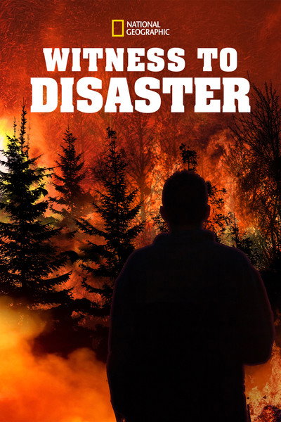 Póster de Witness to Disaster