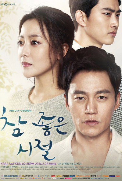 Póster de Wonderful Days