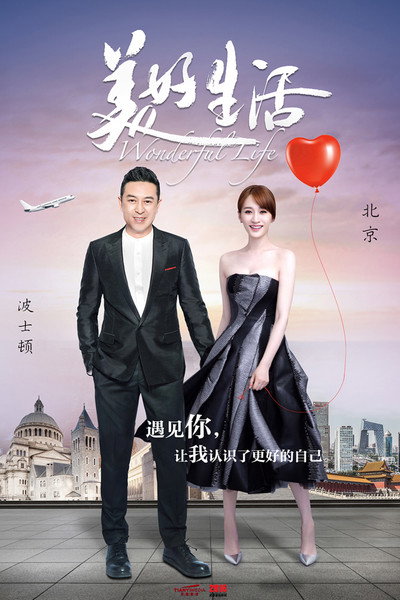 Póster de Wonderful Life
