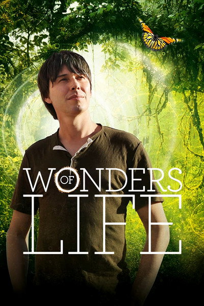 Póster de Wonders of Life