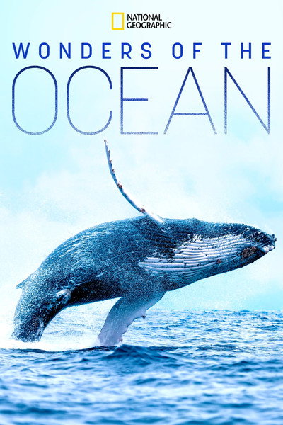 Póster de Wonders of the Ocean