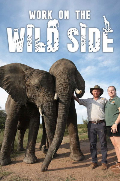 Póster de Work on the Wild Side