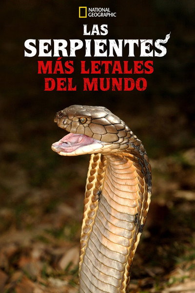 Póster de World's Deadliest Snakes