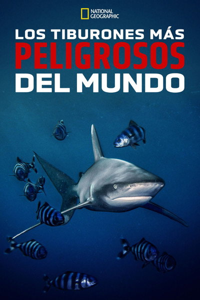 Póster de World's Most Dangerous Shark