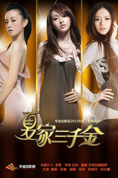 Póster de Xia jia san qian jin