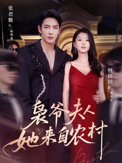 Póster de Xiao Ye Fu Ren Ta Lai Zi Nong Cun