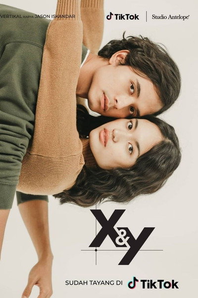 Póster de X&Y