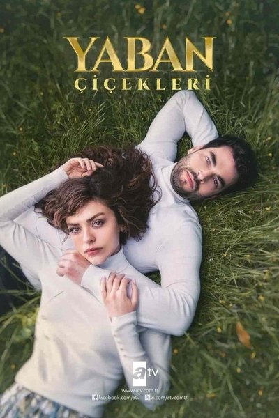 Póster de Yaban Çiçekleri