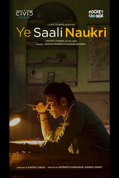 Póster de Ye Saali Naukri