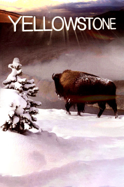Póster de Yellowstone