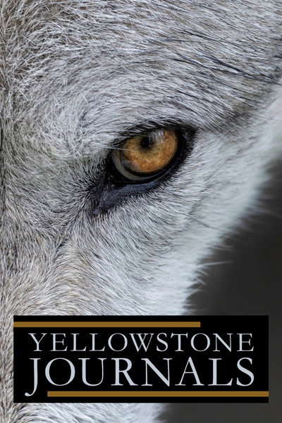 Póster de Yellowstone Journals