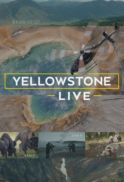 Póster de Yellowstone LIVE