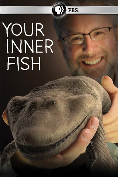 Póster de Your Inner Fish