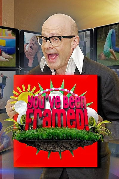 Póster de You've Been Framed!