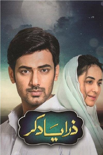 Póster de Zara Yaad Kar