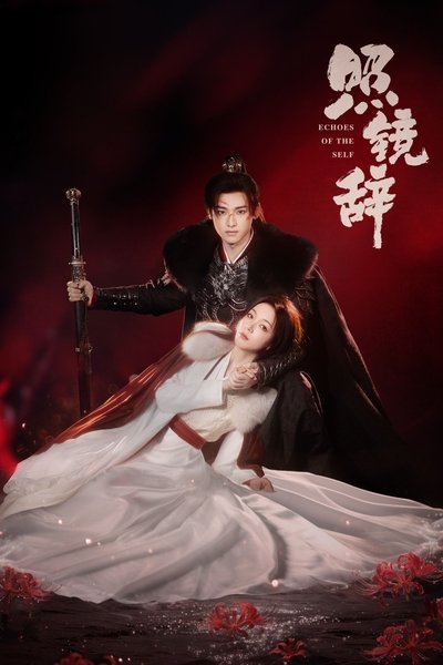 Póster de Zhao Jing Ci