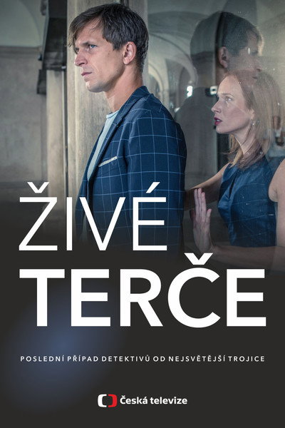 Póster de Zivé terce